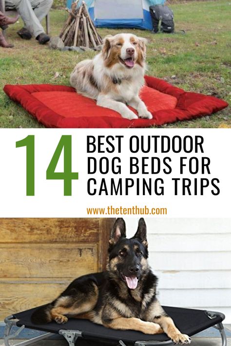 Beds With Canopy, Camping Dog Bed, Dog Tether, Camping With Dogs, Camp Recipes, Outdoor Dog Beds, Survival Tattoo, Camping Dog, Puppy Tips