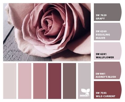 Expressive Plum, Plum Walls, Diva Den, Painted House, Logo Colors, Bedroom Paint Colors, Design Seeds, Interior Paint Colors, Trendy Bedroom