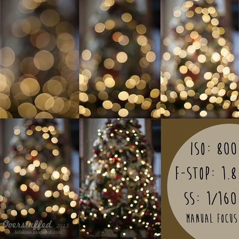 Four Creative Ways to Photograph Your Christmas Lights - Overstuffed Christmas Light Photography, Ideas For Photography, Gothic Glamour, Diy Christmas Lights, Photography Settings, Xmas Photos, Photography Cheat Sheets, Bokeh Photography, Photography Creative