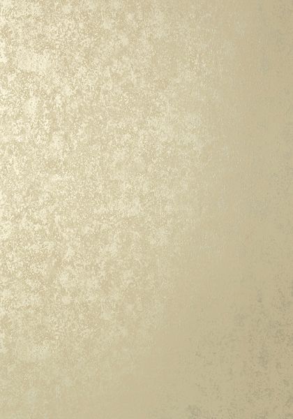 FAUX TORTOISE, Metallic Champagne, T57165, Collection Texture Resource 5 from Thibaut Beige Marble Tile, Wool Shag Rug, Polished Porcelain Tiles, Beige Marble, Travertine Tile, Metallic Wallpaper, Stone Surface, Modern Wallpaper, Room Wallpaper