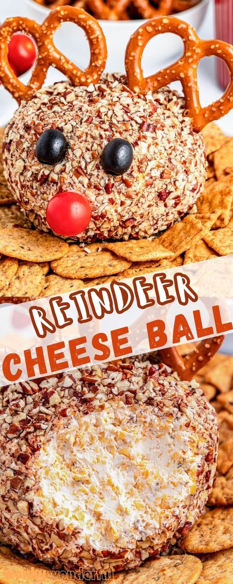 This REINDEER CHEESE BALL is the cutest holiday appetizer and super easy to prepare. A basic cheesy ranch cheese ball decorated to look like Rudolph the Red Nosed Reindeer. Cheeseball Turkey, Rudolph Cheese Ball, Cookie Cheese Ball, Reindeer Cheese Ball, Reindeer Droppings Recipes, Christmas Tree Cheese Ball, Snowman Cheese Ball, Rudolph Snacks, Cheese Ball Snowman