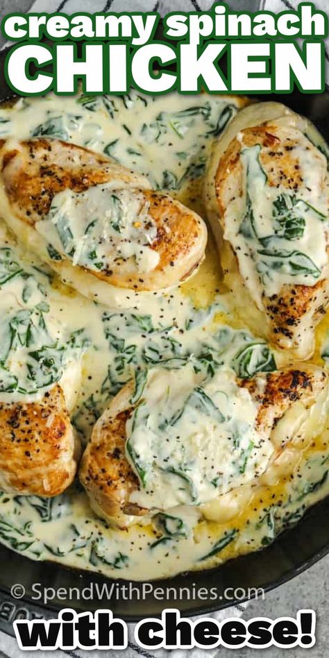 Cheese stuffed chicken breasts in a creamy spinach sauce, this recipe is easy and so delicious! Chicken breasts are filled with cheese, baked, and served in a simple creamed spinach sauce. While it’s really easy to make this meal seems elegant and is perfect served with rice or potatoes. Spinach Stuffed Chicken Breast Recipes, Spinach Stuffed Chicken Breast, Creamy Spinach Chicken, Spinach Cream Sauce, Creamy Spinach Sauce, Spinach Sauce, Stuffed Chicken Breast Spinach, Crockpot Chicken Breast, Cheese Stuffed Chicken Breast