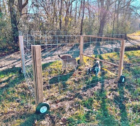 Goat Pen Ideas, Sheep Fence, Livestock Fence, Goat Playground, Goat Pen, Livestock Shelter, Goat Shelter, Homestead Animals, Goat House