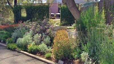 Verge Garden, Tudor Village, Garden Australia, Pool Gardens, Gardening Australia, Native Plant Landscape, Australian Gardens, Bush Garden, Berry Garden