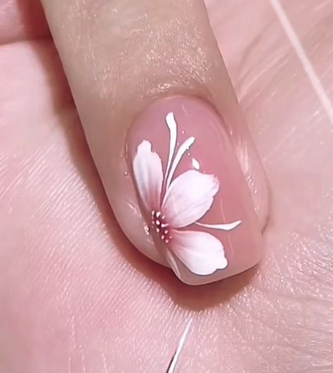 Nail Art Designs Cherry Blossoms, Nail Art Blossom, Cherry Blossom Nails Design, Nail Flowers, Cherry Blossom Nails Art, Blossom Nails, Quince Nails, Cherry Blossom Nails, Finger Nail Art