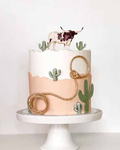 Western Theme Cake Ideas, Rodeo Cupcakes Western Theme, How The West Was One Birthday Cake, Cowboy Cake Ideas, Western Smash Cake, Rodeo Cake Ideas, 1st Rodeo Birthday Cake, Western Cake Ideas, Wild West Cake