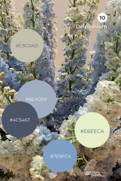 Blue color palette inspired by delphinium flowers Hydrangea Blue Color Palette, Country Blue Color Palette, Blue Tone Wedding Color Schemes, Blue Color Pallete Wedding, Powder Color Palette, Spring Wedding Blue Colors, Blue Wedding Pallet Ideas, Blue Colour Scheme Wedding, Spring Blue Color Palette