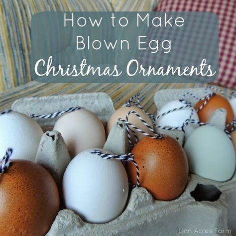 Blown Egg Ornaments Diy, Egg Christmas Ornaments, Country Easter Decor, Natural Easter Decor, Heavenly Christmas, Homestead Diy, Blown Eggs, Homemade Decorations, Woodland Christmas Tree