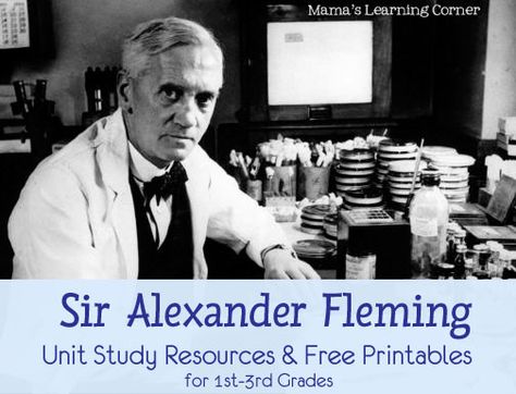 Free Unit Study Helps for Alexander Fleming including 3 free worksheets for Grades 1st-3rd Famous Freemasons, Alexander Fleming, Scientific Discovery, Study Help, Medical History, Study Unit, Inspirational People, Change The World, A Man