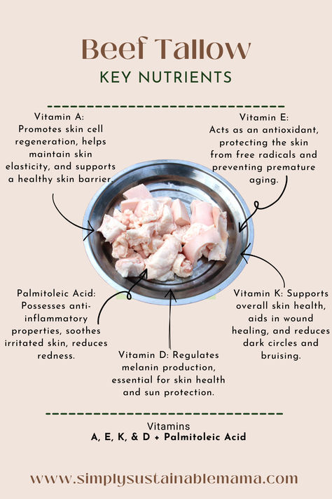 An infographic featuring a bowl of beef tallow with arrows pointing to various vitamins and minerals found in beef tallow, including Vitamin D for bone health, Vitamin K for blood clotting, Vitamin E for immune support, and conjugated linoleic acid (CLA) for weight management. Each nutrient is accompanied by a brief description of its role in promoting overall health and well-being, highlighting the diverse benefits of incorporating beef tallow into your diet." Beef Tallow Hair Mask, Beef Tallow Aesthetic, Beef Tallow For Hair, Beef Tallow For Skin Benefits, Benefits Of Tallow, Benefits Of Beef Tallow For Skin, Rendering Beef Fat For Tallow, Beef Tallow Benefits For Skin, Beef Tallow Skin Care