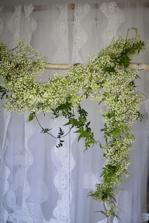 Gypsophila garland. Wedding. Gypsophila Garland, Ceremony Installation, Hanging Party Decor, Zodiac Flowers, Flower Shoot, Arch Arrangement, Magic Wedding, Gypsophila Wedding, Canopy Ideas