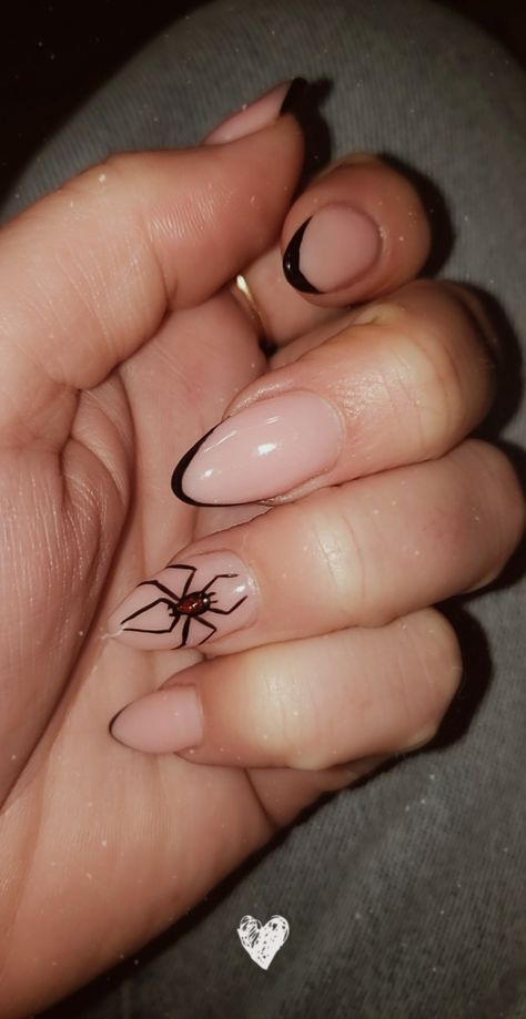 Spider On Nails, Spider On Nail Design, Simple Spider Nails, Black Spider Nails, Almond Medium Nails, Halloween Nails Spider, Spider Nails Designs, Spider Nail, Short Almond Nails Spider Web