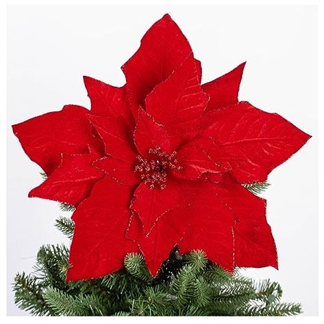 Centerpiece Wreath, Red Poinsettia, Seasonal Displays, Holiday Flower, Poinsettia Flower, Christmas Tree Topper, Christmas Poinsettia, Festive Look, Christmas Flowers