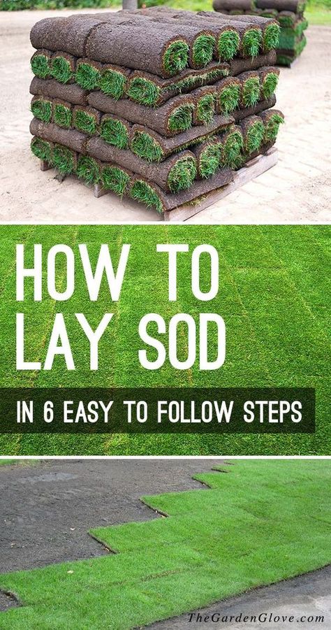 How to Lay Sod in 6 Easy to Follow Steps - Nothing transforms a yard and garden faster then the velvet green of a freshly laid sod lawn. So let’s learn how to lay sod with this step by step tutorial! #laysod #backyardideas #backyardprojects #howtolaysod #newlawn #gardenideas #diygardenideas #diygardenprojects #TGG #plantlawn #plantanewlawn How To Lay Sod, Sod Grass, Sod Installation, Diy Lawn, Yard And Garden, Lawn Care Tips, Lawn Maintenance, Gardening Gloves, Diy Garden Projects