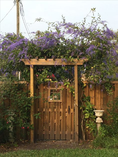 Privacy Fence Arbor, Fence Gate With Window, Aviary Attached To House, Fence Gate Entrance Landscaping Ideas, Fence Gate Arbor, Arbor Front Of House, Cute Garden Gate, Gate Trellis Ideas, Small Garden Gate Ideas