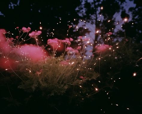 Bright Lights Aesthetic, Pink Night Aesthetic, Fireflies Aesthetic, Bliss Aesthetic, Majestic Aesthetic, Firefly Photography, Solstice Art, Firefly Art, Pretty Photos