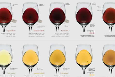 Wine Region Map, Man Recipes, Body Chart, Wine Folly, Red Wines, Food Info, Wine Collection, Wine Region, Aging Well