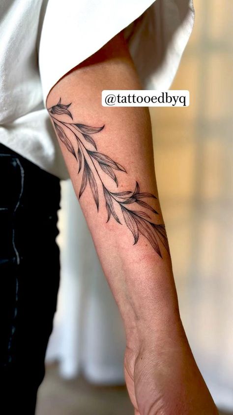 Outer Bicep Tattoos, Bicep Tattoos, Pine Tattoo, Olive Branch Tattoo, Around Arm Tattoo, Willow Tree Tattoos, Fern Tattoo, Wrap Tattoo, Inner Forearm Tattoo