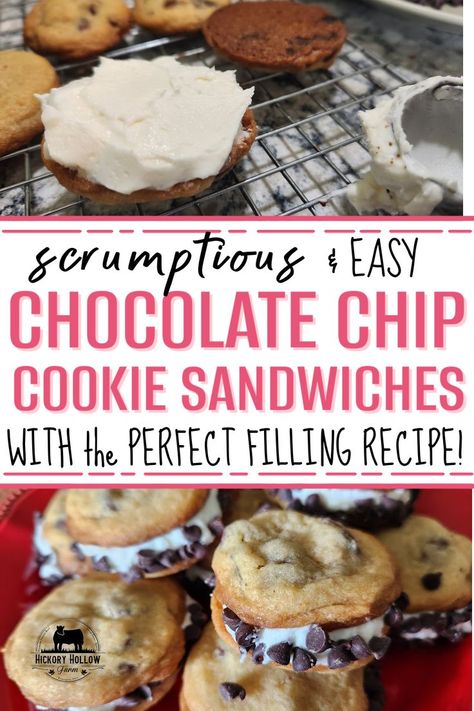 These chocolate chip sandwich cookies are so scrumptious, this will become a favorite recipe! Perfect for a special occasion dessert, but simple enough to make and assemble! And the buttercream frosting in the perfect balance to the chocolate chip cookie sandwiches! Perfect cookie recipe! Cream filled cookie! Chocolate Chip Cookie Sandwich, Chocolate Chip Sandwich Cookies, Chip Sandwich, Buttercream Frosting Cookies, Baked Orange Chicken, Cream Filled Cookies, Sandwich Cookies Filling, Cookie Sandwich Recipes, Gooey Chocolate Chip Cookies