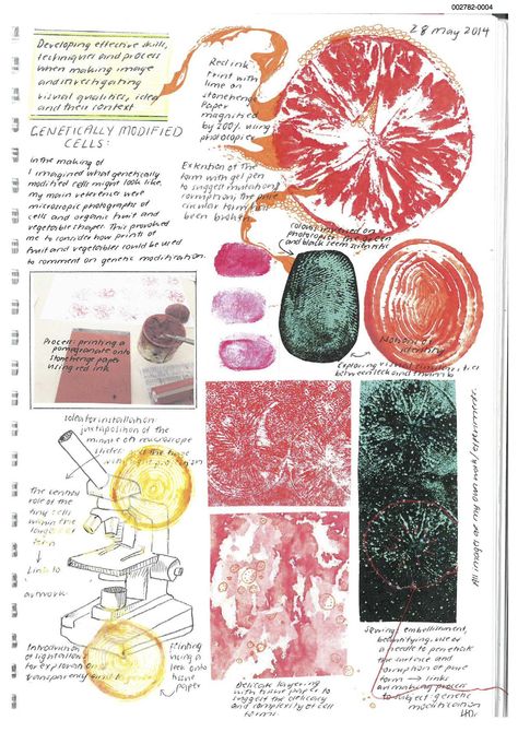 Millie@M: Workbook pages showing experimentation with techniques based on research ideas. Note the variety of size of images to create visual interest and the use of supporting annotations. Ap Art Visual Journal, Art Workbook Ideas, Sustained Investigation Ideas, Art Experimentation, Gcse Art Textiles, Sketchbook Examples, Process Portfolio, Summer Sketchbook, Artist Research Page