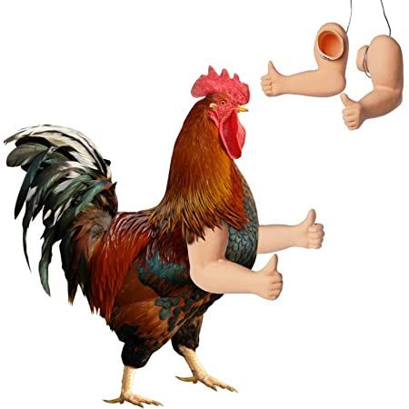 Amazon.com : FUAMEY Muscle Chicken Arms Toys for Chickens to Wear, Funny Costume Fist Fighting Arms Toy for Pet Prank Themed Party, Artificial Arms Costume Cosplay for Chickens Rooster Hens Eagles Middle Inger : Pet Supplies Toys For Chickens, Chicken Arms, Chicken Harness, Training Chickens, Chicken Hats, Teacup Yorkie Puppy, Funny Costume, Chicken Toys, Puppy Coats