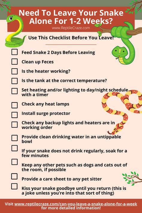 Most snakes can be left alone for a week aslong as they have been fed and have access to enough clean drinking water. Any lights and heaters will need to be set on a timer, and it’s best to feed the snake two days before leaving in case of any regurgitation or faeces.Let’s take a look at what you need to do if you’re leaving your snake home and going on vacation. We even provide a checklist for you at the end of this article! Snake Breeding, Snake Care, Pet Reptiles, Snake Enclosure, Hognose Snake, Reptile Care, Winky Face, Pet Sitting Services, Clean Drinking