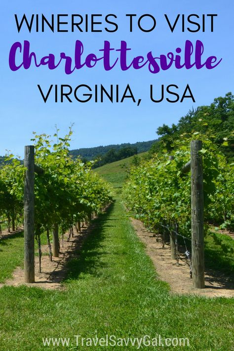 An easy weekend trip from Washington, DC, check out the best Charlottesville, Virginia wineries to seek out on a visit.  Click for the top spots to go for wine tasting and practical tips to make the most of your time! Virginia Wine Country, Barolo Wine, Temecula Wineries, Virginia Vacation, Virginia Wineries, Virginia Travel, Charlottesville Virginia, Wine Trail, Virginia Usa