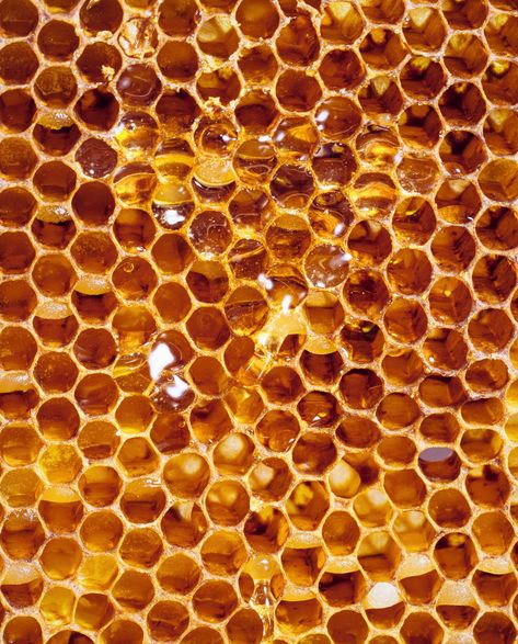 Pure Apis mellifera absolute. Honey absolute is solvent-extracted from honeycomb and contains both honey and beeswax. The absolute has a very mild, sweet, oily odor, with a haylike body note and a soft, waxy undertone. The scent varies depending on the origin of the honeycomb and what kind of flower the bees produced the honey from. It is traditionally used in perfumery and is an especially good natural fixative. ASPECTS: sweet pollen · hay · warm · mild APPEARANCE: pale yellow to deep golden br Collage Creator, Honey Water, Food Texture, Natural Structures, Collage Background, Orange Aesthetic, Ap Art, Fantasy Aesthetic, Wooden Storage