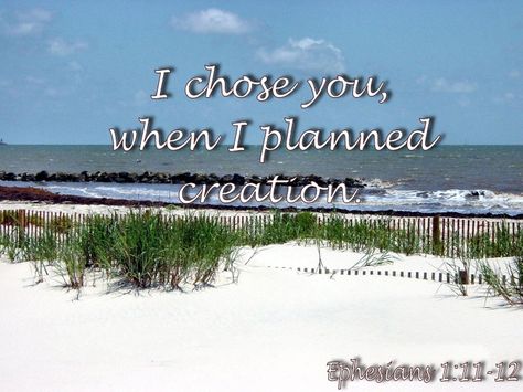 I Chose You When I Planned Creation, I Chose You, Ephesians 1, I Choose You, Air Pods, Tattoo Idea, Love Letters, Beautiful Photo, Bible