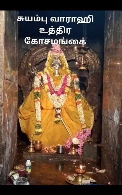 Madhurai Meenakshi Amman Images, Ambal Images, Goddess Varahi, Cute Murugan Images, Varahi Devi, Varahi Amman, Saturn Transit, God Venkateswara Images Hd Wallpaper, Marble Iphone Wallpaper