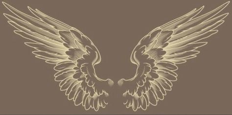 Angel Wing Anatomy, Wings Sketch Reference, Angle Wings Draw, Angel From Behind, Broken Wings Angel, Wings Art Reference, Wings From Behind, Angel Wings Sketch, Angel Wing Painting