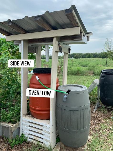 Essentially, my garden is annoyingly far away from larger sources of water (although I have and do use the hose from the house in the heat of the summer and I do have two IBC totes about 50 yards away connected to the outdoor shed) but I had these smaller rain barrels that could never be adequately filled due to lack of a roof to funnel the free rain water into them.   Pinterest at the time didn’t have any good designs so this is what I finagled together.  Basically it is a butterfly roof angled Barrels Diy, Water Collection System, Butterfly Roof, Water Barrel, Water Collection, Rain Barrel, Home Vegetable Garden, Rain Water Collection, Vegetable Garden Design