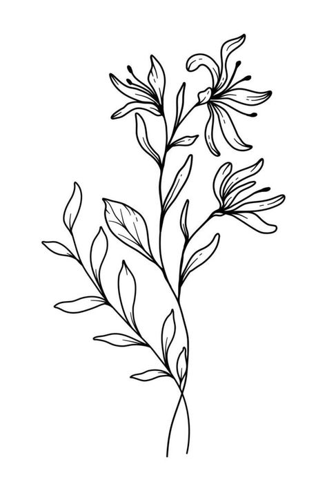 Honeysuckle Line Art. Honeysuckle outline Illustration. June Birth Month Flower. Honeysuckle outline isolated on white. Hand painted line art botanical illustration. Poppy And Honeysuckle Tattoo, Traditional Honeysuckle Tattoo, Aries Honeysuckle Tattoo, Honeysuckle Drawing Simple, Dainty Honeysuckle Tattoo, Honeysuckle Drawing Tattoo, Honeysuckle Flower Tattoo, Honeysuckle Flower Drawing, Honeysuckle Tattoo Simple