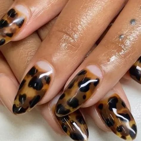 Leopard Nails Black, Brown Nail Polish, Shimmer Nail Polish, Nail Shimmer, Plaid Nails, Sweater Nails, Leopard Nails, Classic Nails, Animal Print Nails