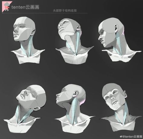 Face Angles, 얼굴 드로잉, Anatomy Tutorial, Human Anatomy Drawing, 얼굴 그리기, Human Anatomy Art, Anatomy Sketches, Body Reference Drawing, Anatomy Poses