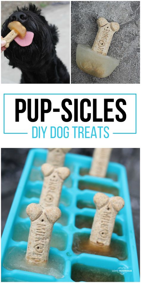 Pup Sicles, Dog Popsicles, Frozen Dog Treats, Dog Biscuit Recipes, Easy Dog Treats, Healthy Dog Treats Homemade, Dog Treats Homemade Recipes, Frozen Dog, Diy Dog Treats