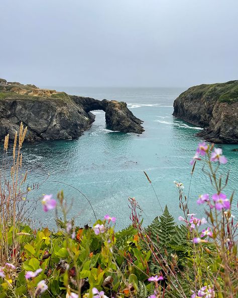 Cove Aesthetic, Northern California Coast, Cabot Cove, Mendocino California, Moss Rug, Mendocino Coast, California Hikes, California Destinations, California Summer