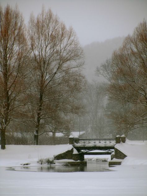 Colgate University - Learn to love snow if you go to 'Gate Hamilton College, Colgate University, Farm Town, College Visit, College Party, College Parties, Dream College, College Town, Upstate Ny