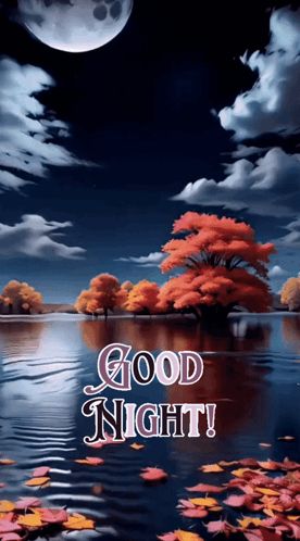 Good Night Images New 2024 Gif GIF - Good night images new 2024 Gif Alisa - Discover & Share GIFs Goodnight Gif Images, Goodnight Gif, Lovely Good Night, Good Night Love Images, Good Night Love, Night Greetings, Good Night Images, Good Night Greetings, Gif Images