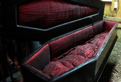 Coffin Bed Coffin Bed, The Vampire Chronicles, Catty Noir, Common People, Hotel Transylvania, Interview With The Vampire, Gothic Decor, Gothic House, Buffy The Vampire Slayer