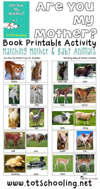 Free printable book activity for toddlers and preschoolers based on the book Are You My Mother? where the child matches 10 different baby & mother animal pairs. Great activity for Mother's Day! Mother And Baby Animals, Animals Preschool, Are You My Mother, Farm Unit, Activity For Toddlers, Farm Preschool, Spring Preschool, Family Theme, Animal Activities