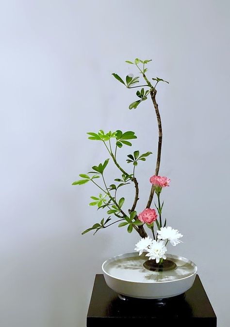 Ikebana Cherry Blossom, Designer Floral Arrangements, Moribana Ikebana, Kawaii Garden, Japanese Floral Design, Japanese Flower Arrangement, Arreglos Ikebana, Ikebana Sogetsu, Cute Products