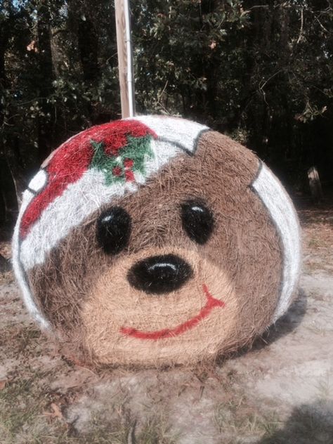 Grinch Hay Bale, Christmas Hay Bales Decoration, Fall Haybales, Halloween Haystacks, Christmas Hay Bale Art, Christmas Hay Bale Ideas, Christmas Hay Bale Decor, Christmas Hay Bales, Christmas Hay Bale