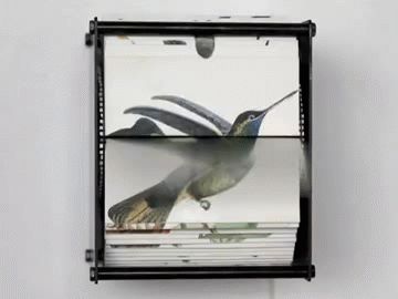 Spectacular Motorized Flipbooks of Hand-Drawn Birds - My Modern Metropolis Flip Book Animation, Modern Metropolis, Kinetic Art, Flip Book, Stop Motion, Motion Design, Art Videos, Interesting Art, Installation Art