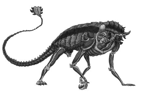 Ankylosaurus Xenomorph Penguin Dinosaur, Creature Concept, Aliens, Dinosaurs, Moose Art, Deviantart, Animals, Quick Saves, Art