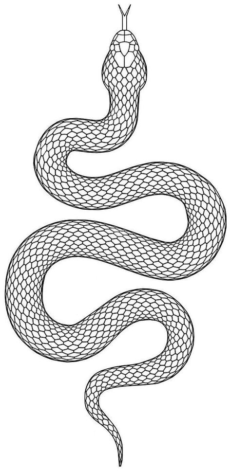 Snake Tattoo Stencil, Snake Outline, Small Snake Tattoo, Cobra Tattoo, Tattoo Snake, Snake Drawing, Snake Tattoo Design, Tattoo Templates, Tattoos Geometric