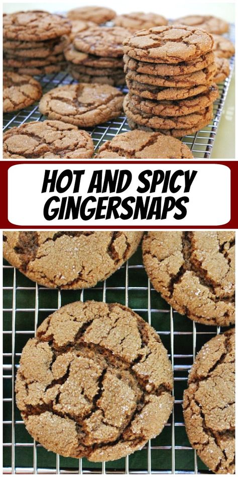 Hot and Spicy Gingersnaps recipe from RecipeGirl.com #hot #spicy #gingersnap #gingersnap #cookie #cookies #recipe #RecipeGirl Gingersnap Recipe, Gingersnaps Recipe, Spicy Ginger Cookies, Ginger Snap Cookies Recipe, Ginger Snaps Recipe, Hot And Spicy, Cookie Brownie Bars, Molasses Cookies, Ginger Snap Cookies