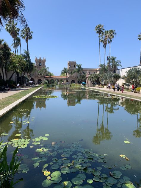 Balboa Park Koi Pond, San Diego San Diego Balboa Park, Old Globe, Balboa Park San Diego, Globe Theater, Downtown San Diego, San Diego Zoo, Balboa Park, Main Attraction, Science Center