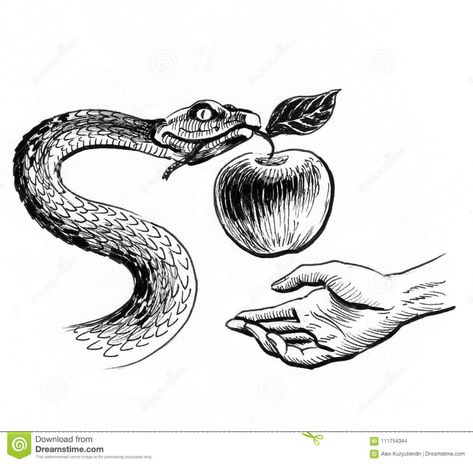 Eve Drawing, Apple Drawing, Apple Tattoo, Snake Illustration, Soul Collage, Snake Drawing, Snake Wallpaper, Fruit Wine, Tattoo Illustration