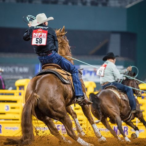 Payden Bray Wallpaper, Paden Bray Pictures, Team Ropers Rodeo Cowboys, Pbr Bull Riders, Roping Horse, Team Roper, Calf Roping, Rodeo Cowgirl, Rodeo Cowboys